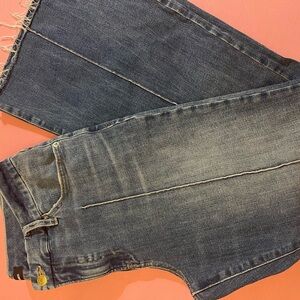 Express Dark Wash Ankle Jeans